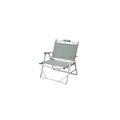 Coleman Living Collection FlatFolding Chair 2149983